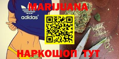 молекула духа Краснодар