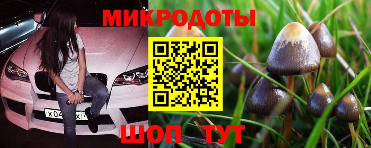 Киселёвск  Псилоцибиновые грибы Magic Shrooms  Вход с VPN 